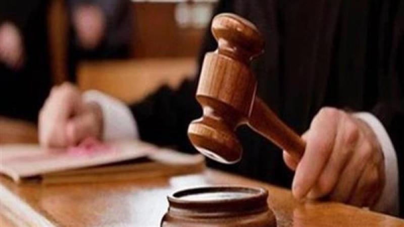 حجز محاكمة 10 متهمين في واقعة خطف نجل وزير الصحة الأسبق لجلسة 29 يونيو
